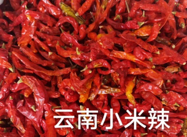 云南小米辣